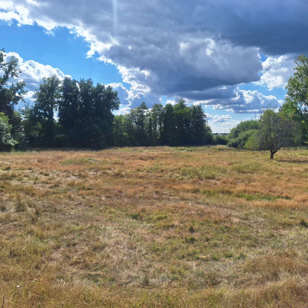 Vente Terrain Terrain Saint Medard De Mussidan 2466 m2 Saint medard de mussidan