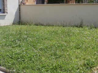  Appartement � louer 1 pi�ce 16 m�