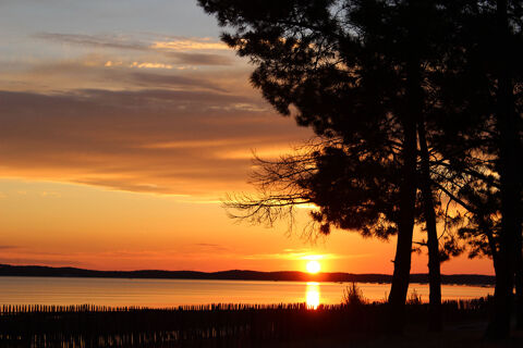 Murs à vendre BASSIN D'ARCACHON 934500 33740 Ares