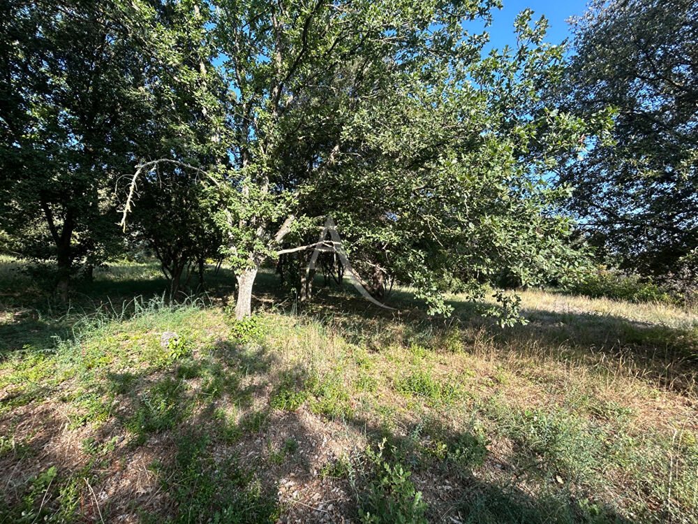 Vente Terrain TERRAIN À BÂTIR DE 1 510 M² ? SUPERBE ENVIRONNEMENT ET VUE DÉGAGÉE Alairac