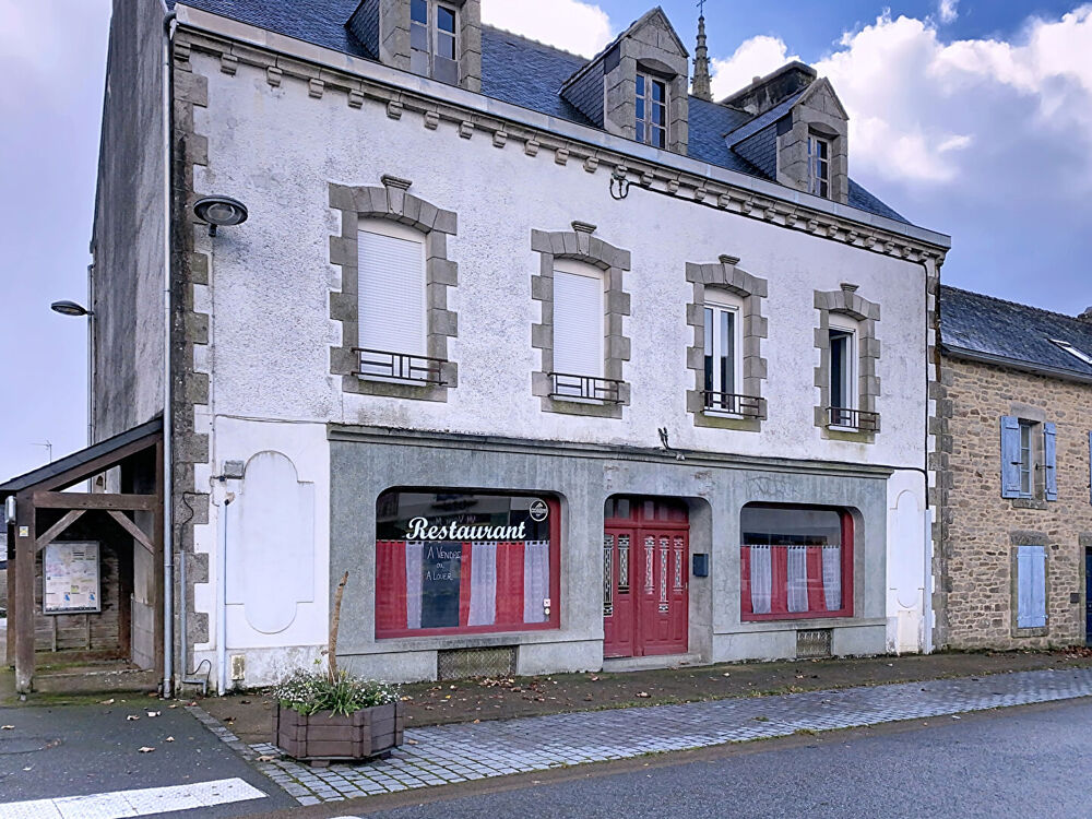Vente Immeuble Investisseurs : Immeuble à vendre à Saint-Thurien Bannalec