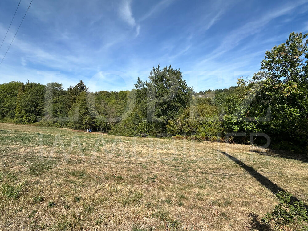 Vente Terrain Terrain Pont De Larn 6963 m2 Pont de larn