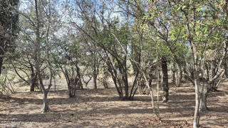  Terrain  vendre 737 m