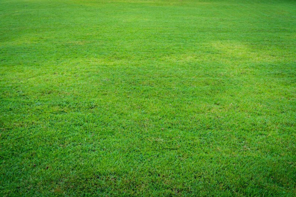 Vente Terrain Terrain 209 m² Mérignac Arlac  - B- Merignac