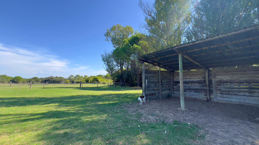 � vendre  Maison N�mes (30000)