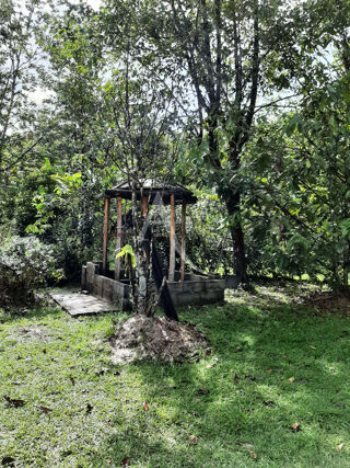  Terrain à vendre 9913 m²