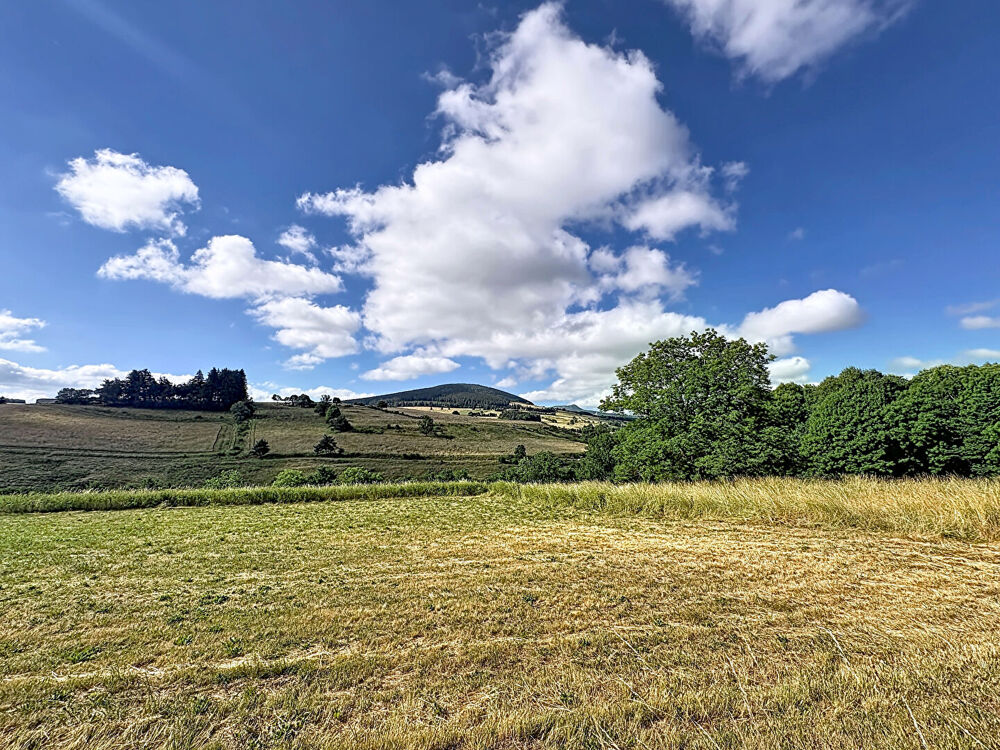 Ancienne ferme rénovée avec grand terrain attenant et dépendances Fay Sur Lignon