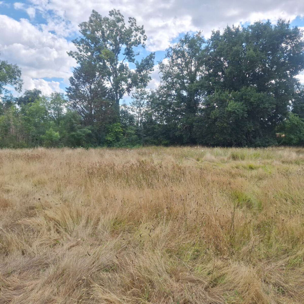 Vente Terrain Terrain Saint Medard De Mussidan 2466 m2 Saint medard de mussidan
