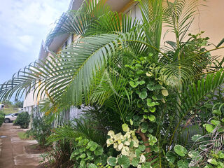  Appartement � vendre 3 pi�ces 74 m�