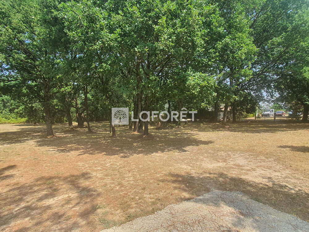 Vente Terrain Terrain arboré,de 2458 m² au calme, Villematier Villematier
