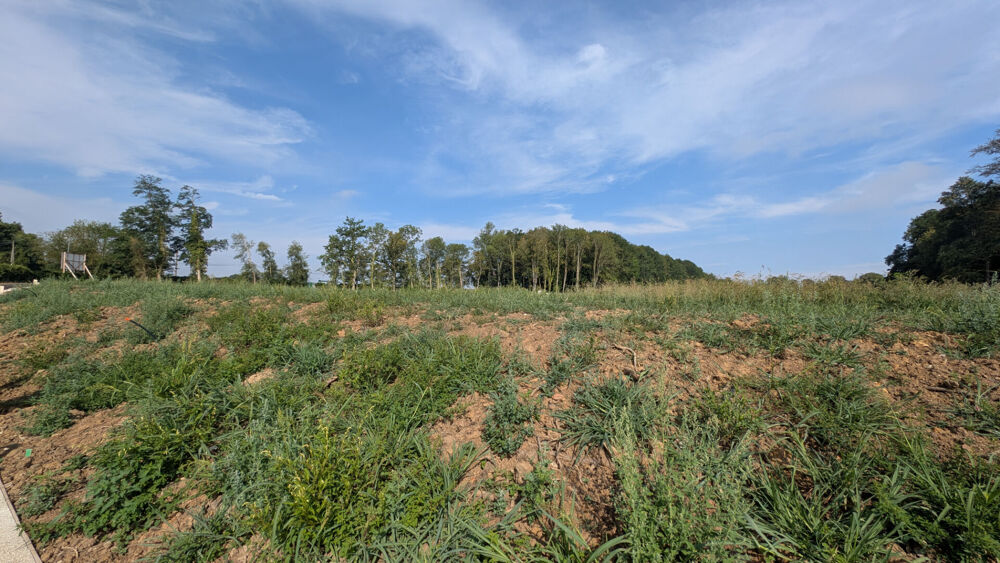 Vente Terrain Terrain Coutevroult 1340m2 Coutevroult