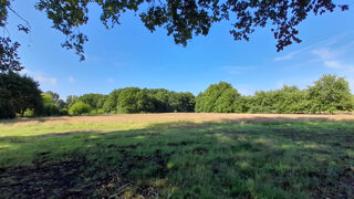  Terrain à vendre 8100 m²
