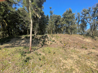  Terrain � vendre 800 m�