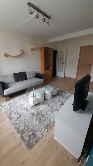  Appartement � louer 3 pi�ces 52 m�