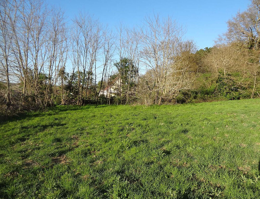 Vente Terrain Terrain Mussidan 1793 m2 Mussidan
