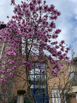  Maison � vendre 6 pi�ces 176 m�