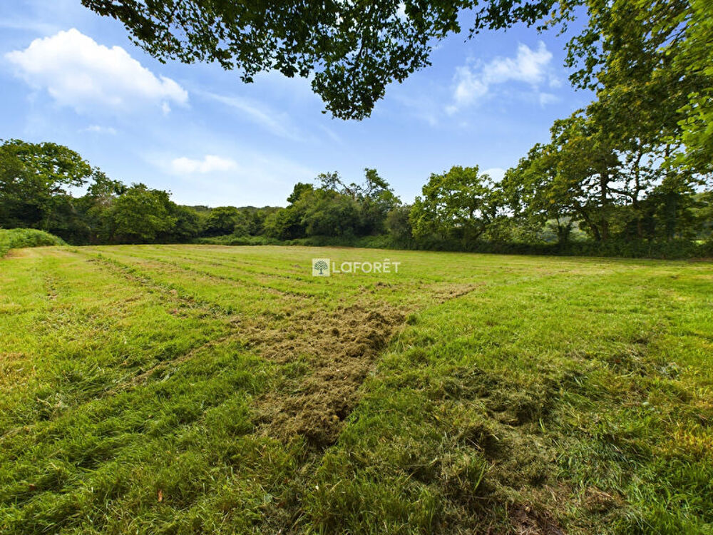 Maison Brasparts 10 pièce(s) 225 m2 sur 7 000 m2 de terrain