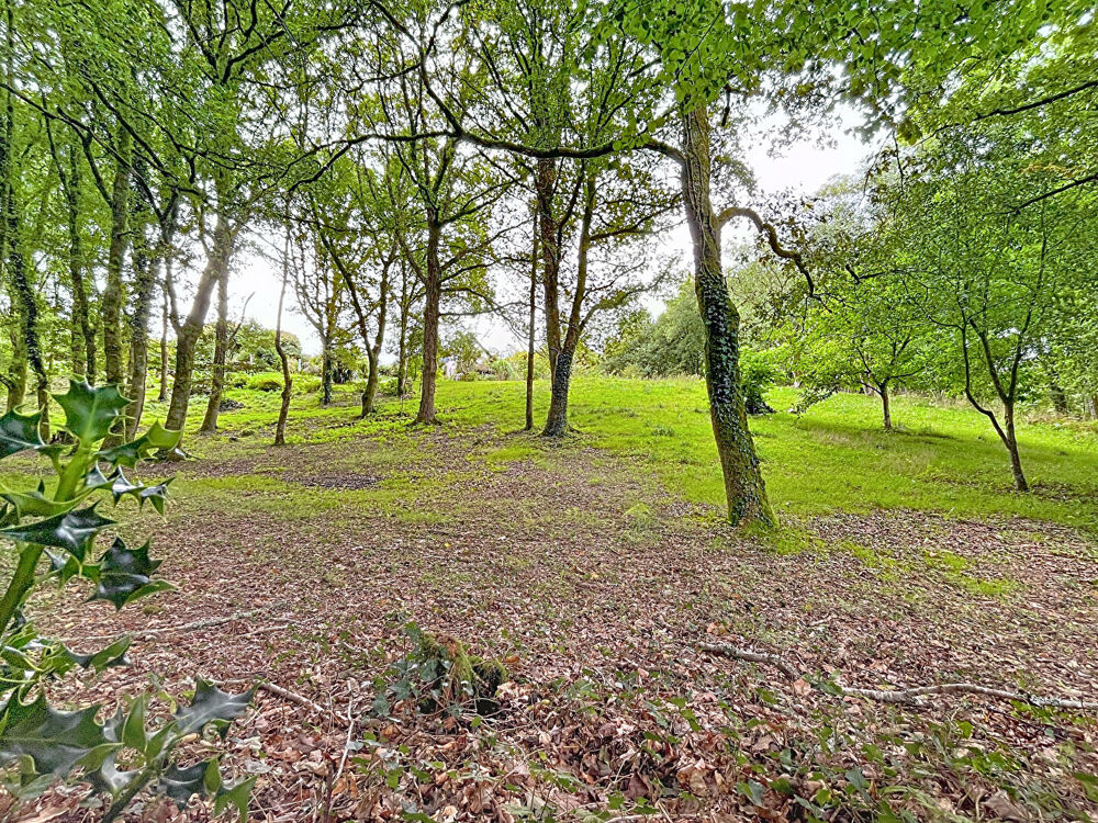Maison de charme à Saint-Thurien - 4 pièces, 80.55 m² sur 1,3 ha de terrain
