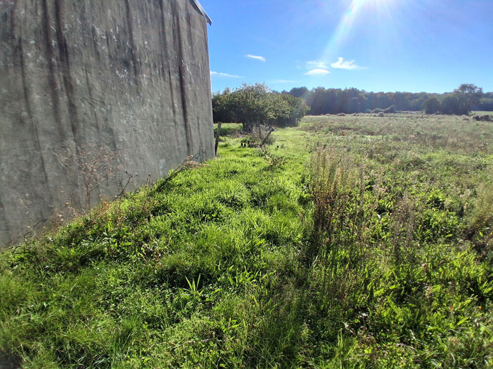 Vente Terrain Terrain 1354 M2 avec parcelles à bâtir et verger La gripperie saint symphorie