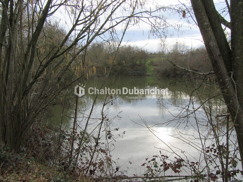 Vente Terrain Terrain de loisirs St Cyr De Favieres St cyr de favieres
