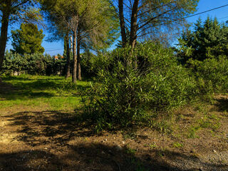  Terrain à vendre 600 m²