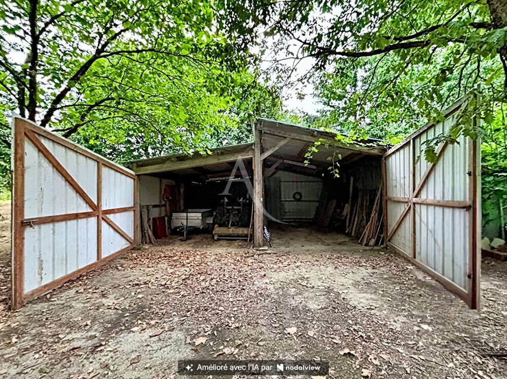 Vente Terrain Entre Angrie et Vern-d'Anjou, un véritable coin de nature sur plus de 4 hectares Angrie
