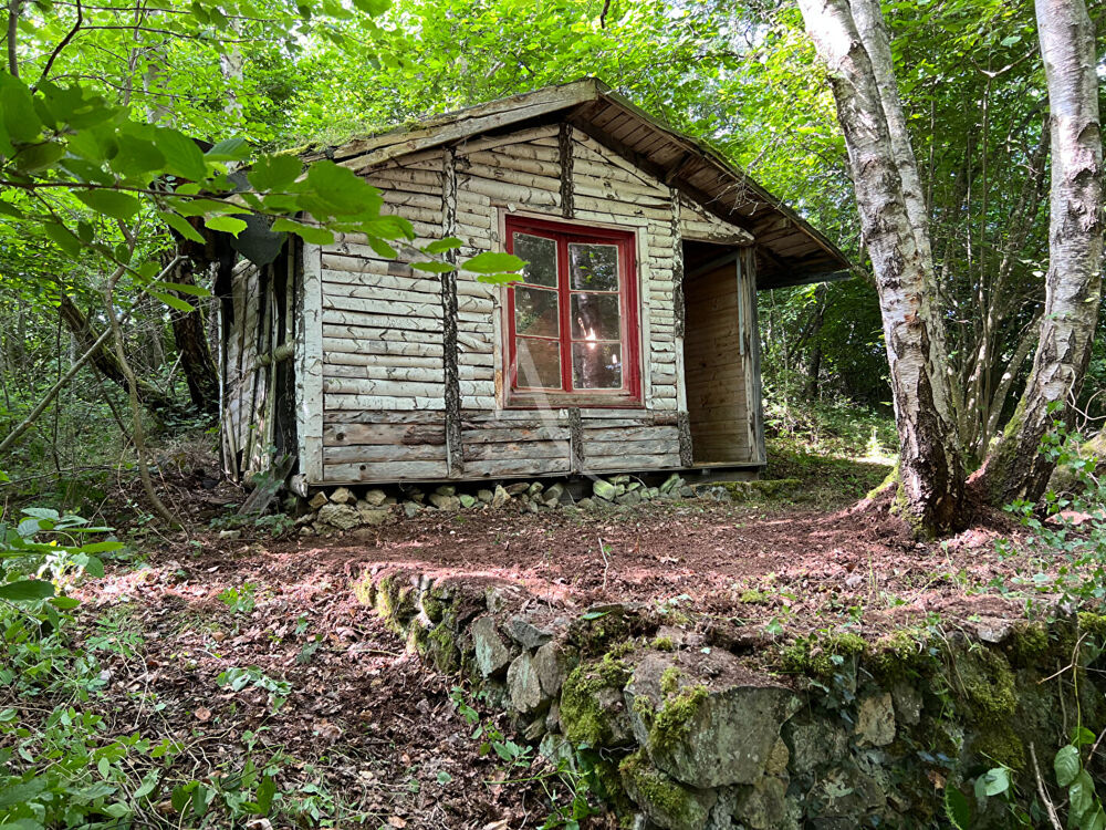 Vente Maison Chalet à rénover avec terrasse et puit au bord du lac d'Aydat dans un parc arboré. Aydat