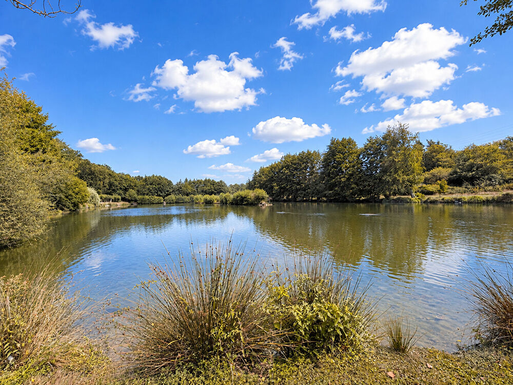 HAUTE VIENNE - Superbe propriété avec étang de pêche à la carpe conforme et 2,5 hectares de terrain
