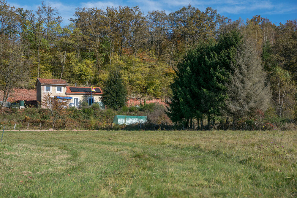 Vente Terrain Terrain plat d'un peu plus de 14 ares Champagney