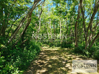  Terrain � vendre 