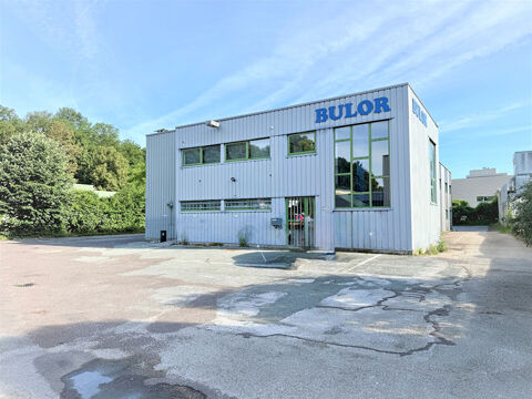 Local d'activit&eacute; Miserey Salines 1200 m2 - A VENDRE 795000 25480 Miserey salines