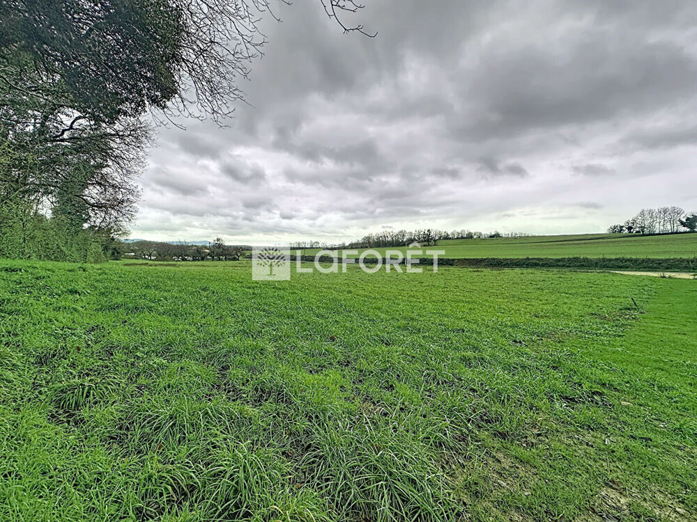   Terrain Verjon 5500 m2 
