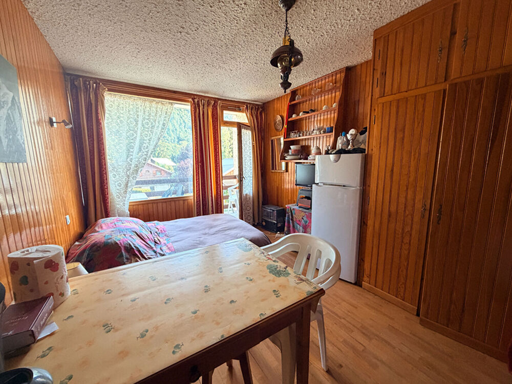 Vente Appartement Appartement Saint Leger Les Melezes 1 pièce(s) 19.69 m2 Saint leger les melezes