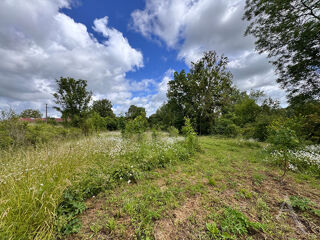  Terrain à vendre 2782 m²