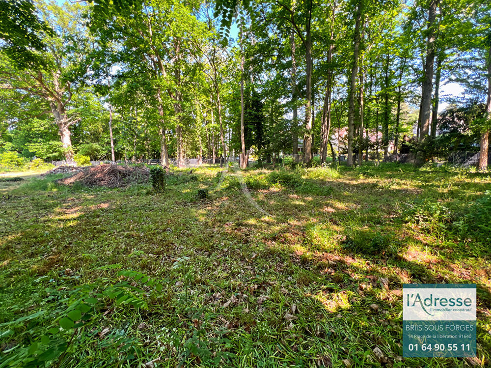Vente Terrain Terrain plat de 700m² au coeur de briis sous forges Briis sous forges