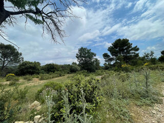  Terrain � vendre 2385381 m�