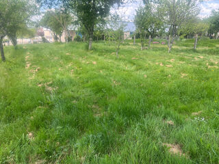  Terrain � vendre 867 m�