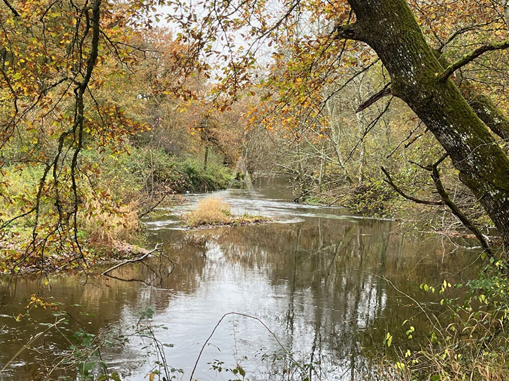 Vente Terrain Territoire de chasse avec étang en Sologne Salbris