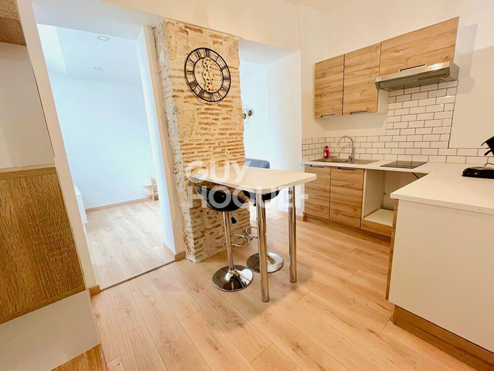Location Appartement Joli studio cocooning en plein centre-ville Agen