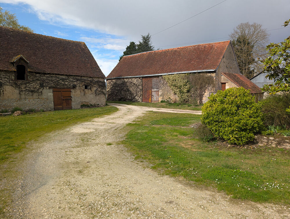 Vente Maison Exclusivité NESTENN Loches - Charmante maison 6 pièces à rafraîchir sur grand terrain à Clion Clion