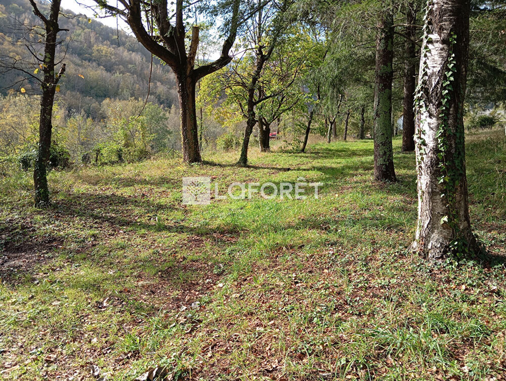 Vente Terrain ANCIEN CAMPING / 2,15 ha - PRATS DE MOLLO Prats de mollo la preste