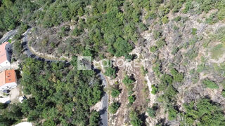  Terrain � vendre 18305 m�