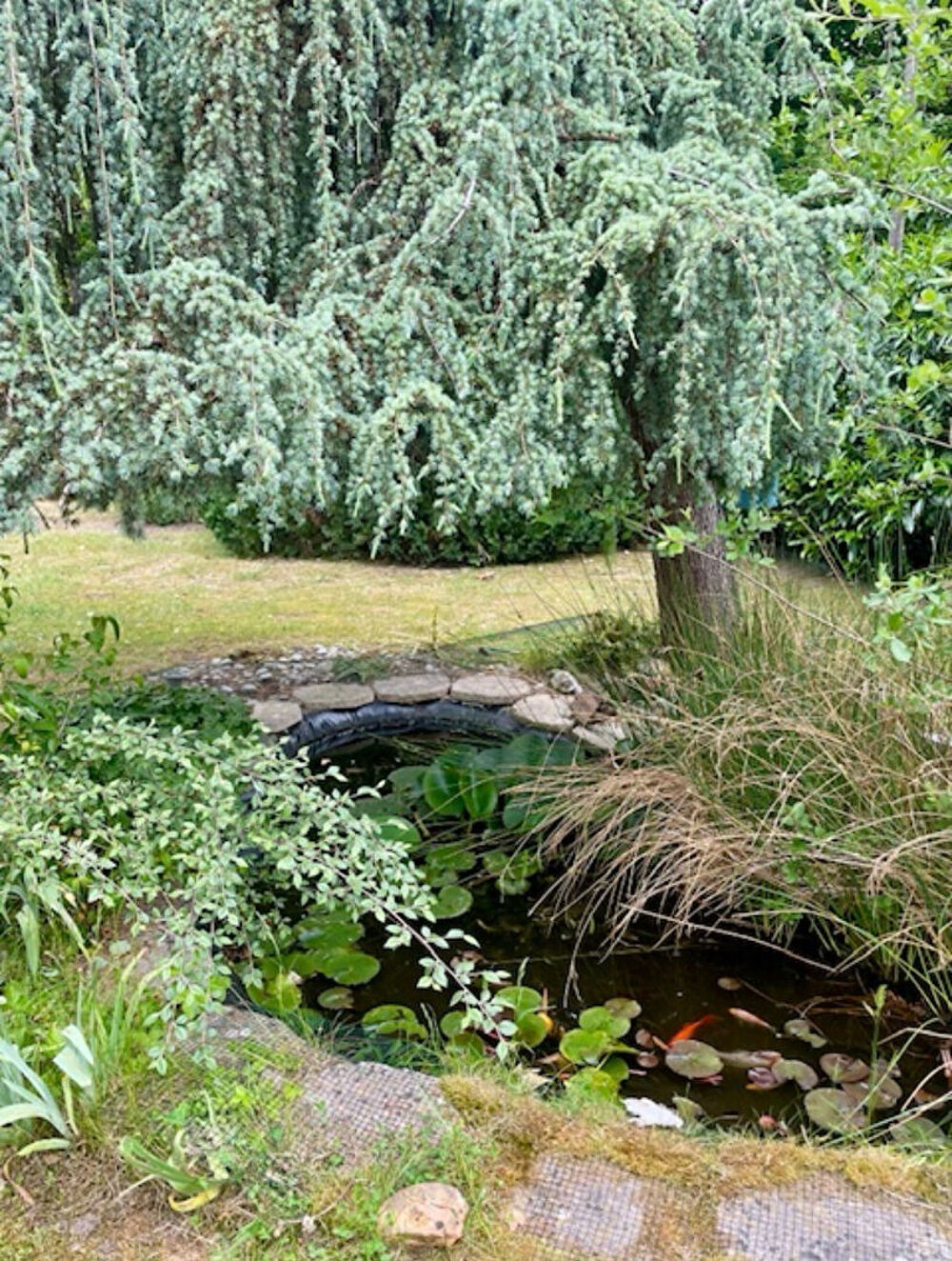 à vendre  Maison Maisons-Laffitte (78600)