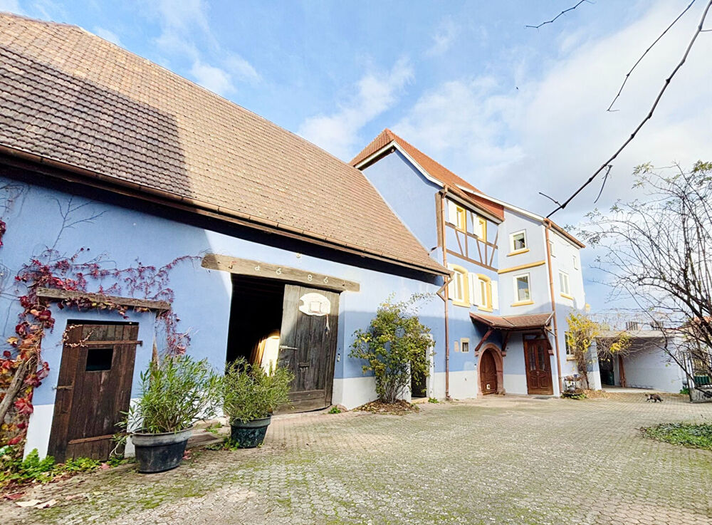 � vendre  Maison Hattstatt (68420)
