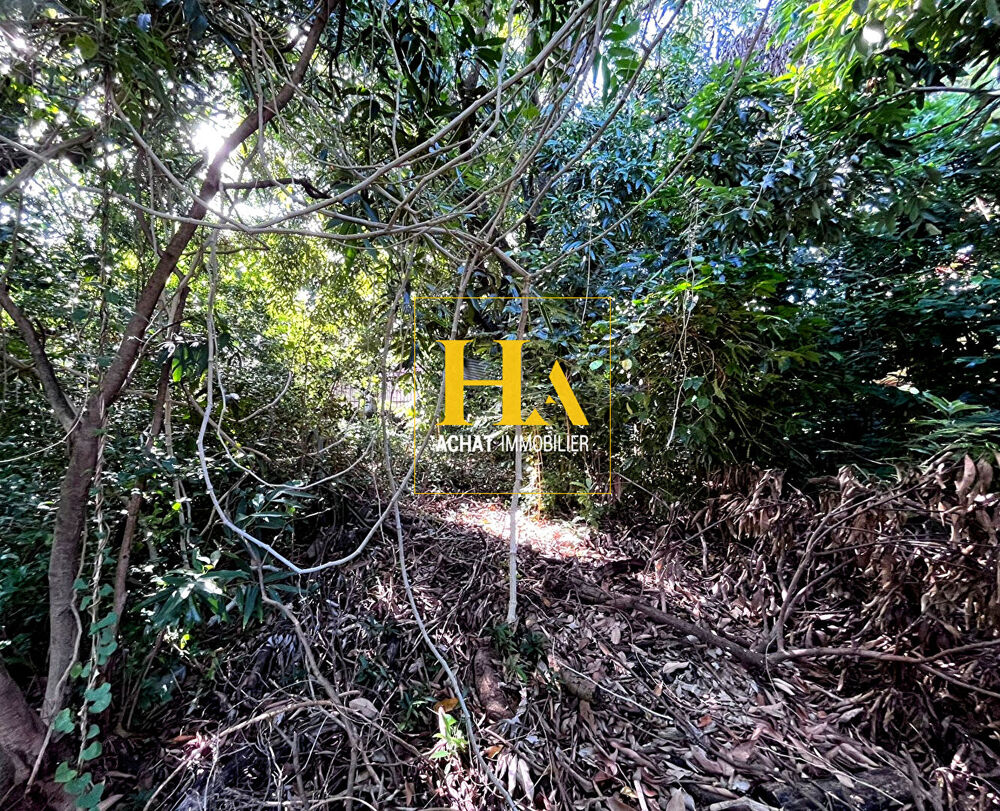 Vente Terrain Terrain constructible 480 m² ? Ligne Paradis, Saint-Pierre Saint pierre