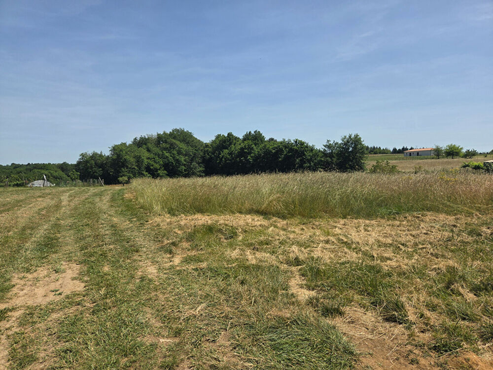 Vente Terrain Terrain Rouffignac Saint Cernin De Reilhac 6000 m2 Rouffignac saint cernin de reilhac