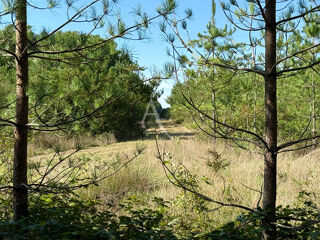  Parking / Garage  vendre 329255 m