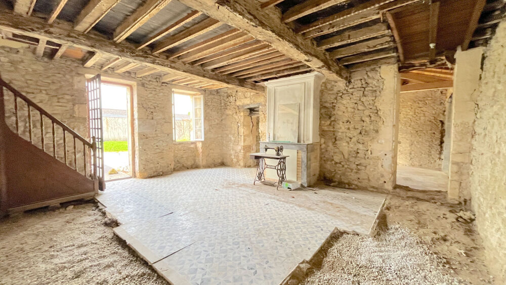 Vente Maison A VENDRE MAISON DE CARACTERE DE 350 M2 SUR 1950 M2 DE TERRAIN - SECTEUR BLAYE Blaye