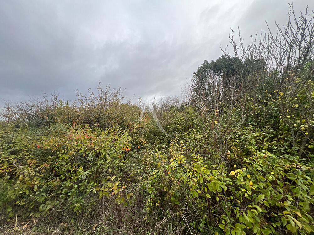 Vente Terrain Terrain Saint Vincent Sur Jard 543 m2 Saint vincent sur jard