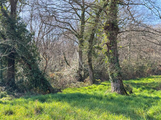  Maison � vendre 5 pi�ces 138 m�